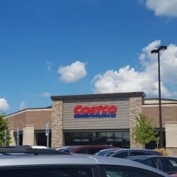 Costco Wholesale ico