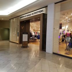 American Eagle ico