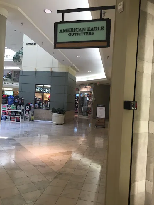 American Eagle 2
