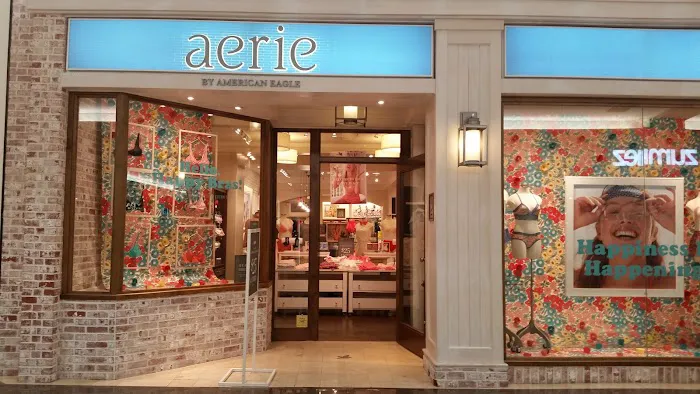 Aerie 1