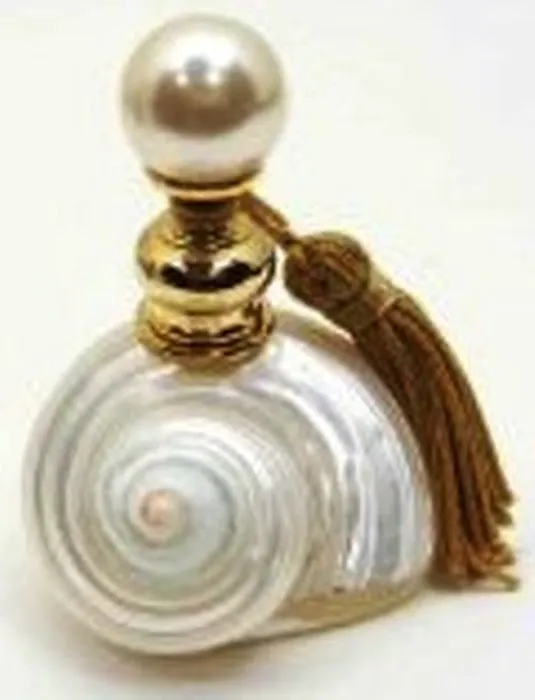 The Scent 4 You 7