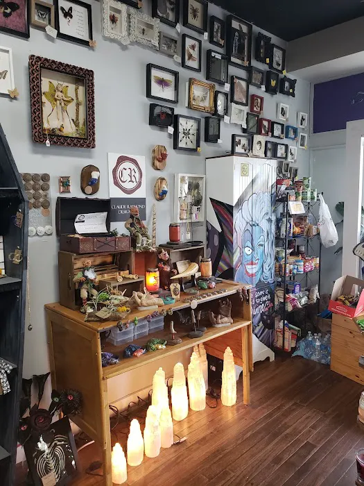 Fae's Cabinet 3