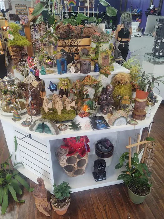 Fae's Cabinet 6