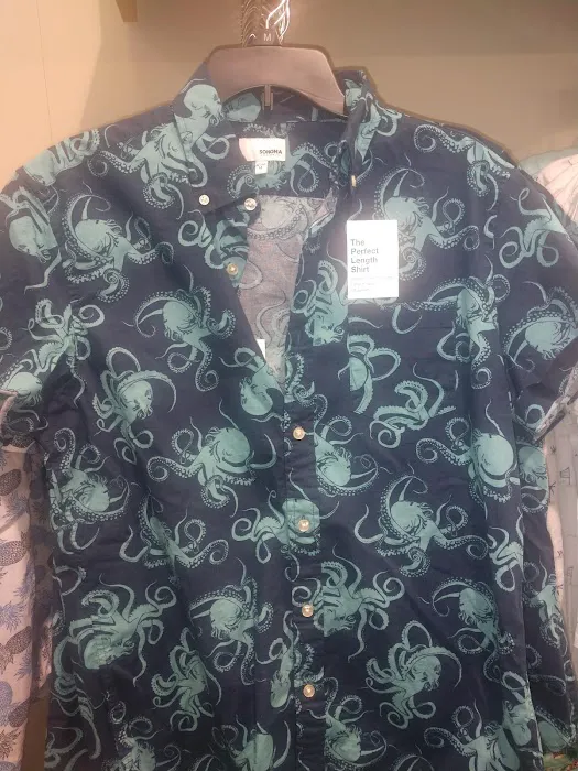 Kohl's 8