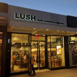 Lush Cosmetics Old Orchard ico