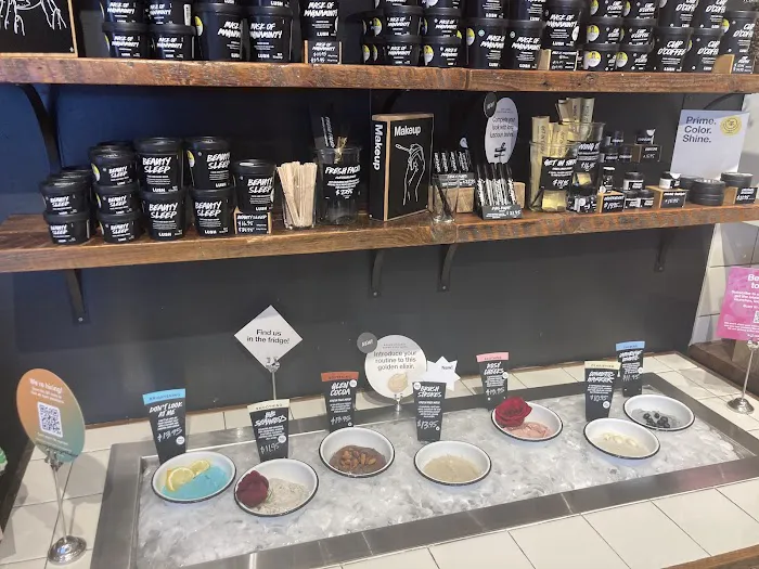 Lush Cosmetics Chicago 1