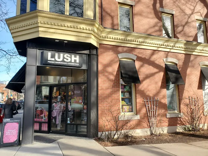 Lush Cosmetics Chicago 4