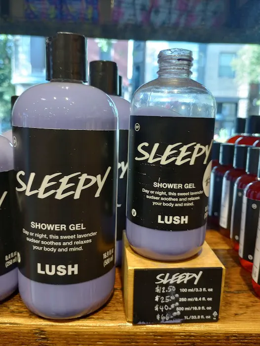 Lush Cosmetics Chicago 6