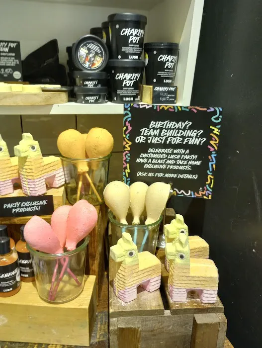 Lush Cosmetics Chicago 9