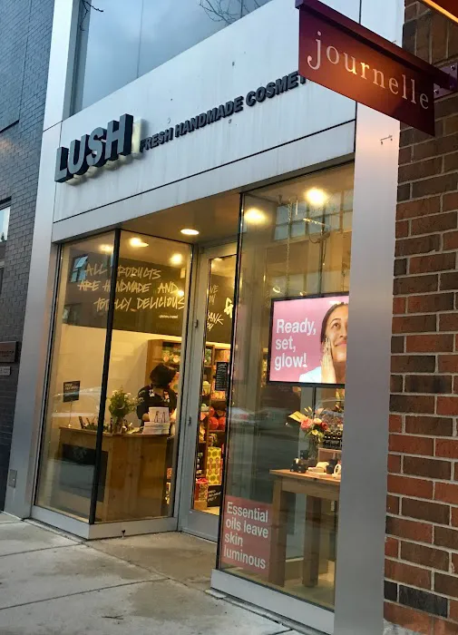 Lush Cosmetics Bucktown 1