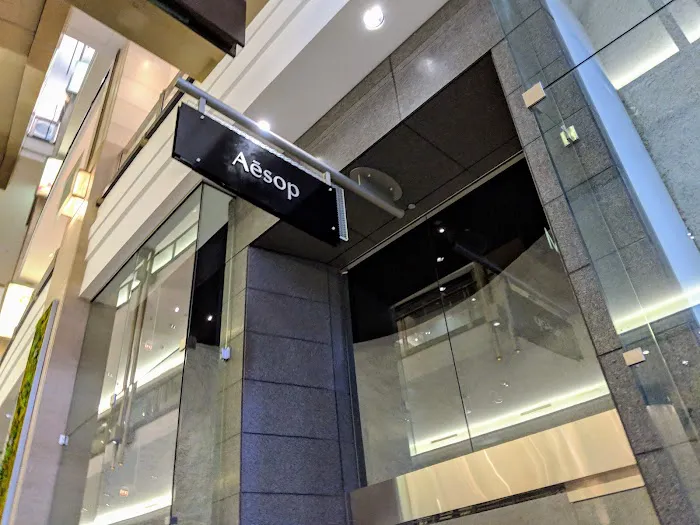 Aesop North Bridge 0