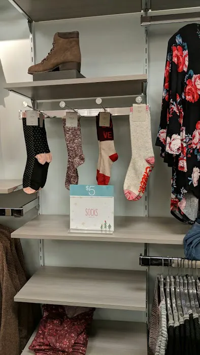 Maurices 3