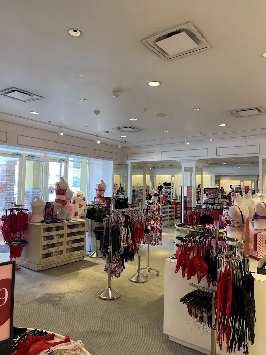 Victoria's Secret & PINK by Victoria's Secret 2