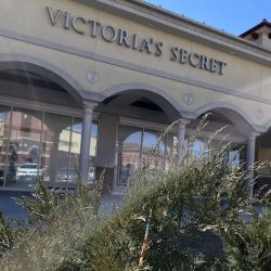 Victoria's Secret & PINK by Victoria's Secret ico