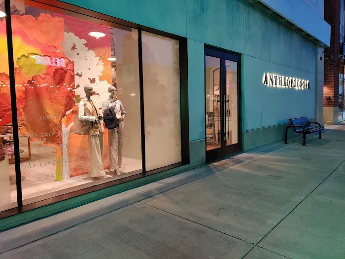 Anthropologie 5