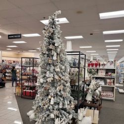 Kohl's ico