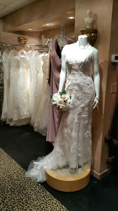 Contessa Bottega 4