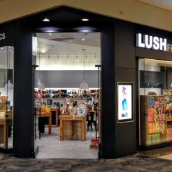 Lush Cosmetics Orland Square ico