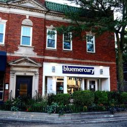 Bluemercury ico
