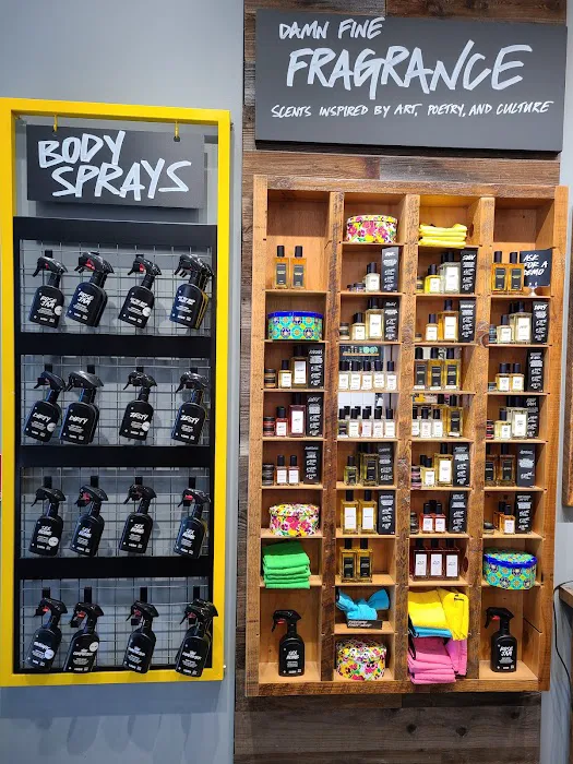 Lush Cosmetics Naperville 7