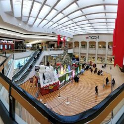 Macy's ico