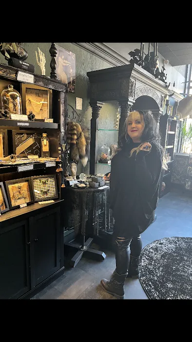 Morbid Mementos Oddities and Occult 5