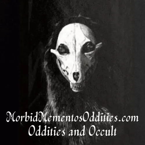 Morbid Mementos Oddities and Occult 3