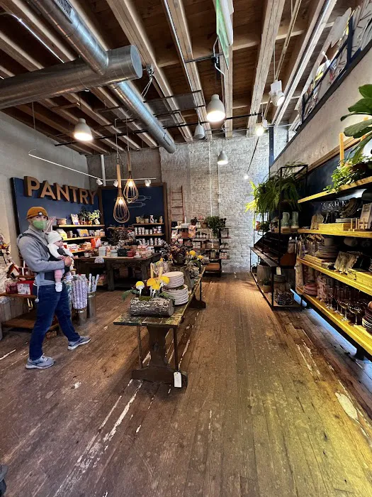 Anthropologie 1