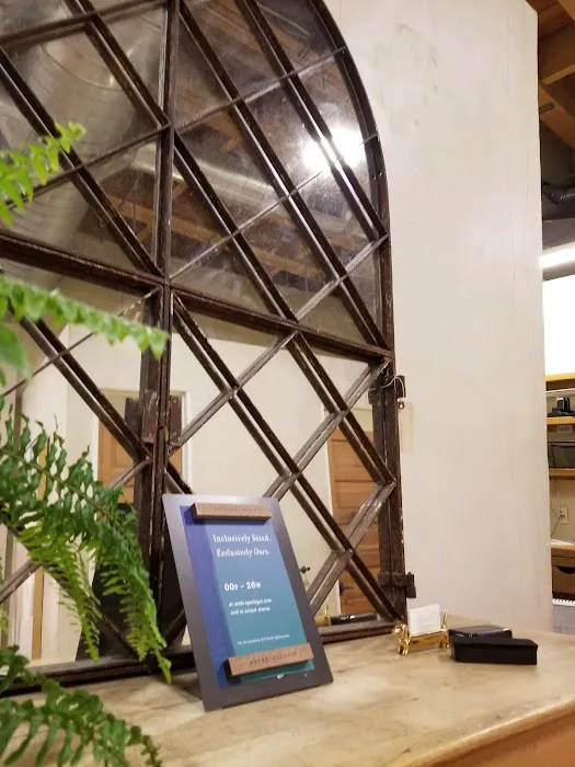 Anthropologie 9