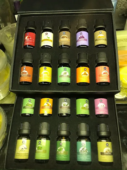 World of Oilz 7