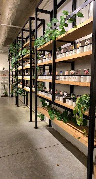 Penn & Beech Candle Co. 5