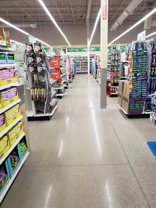 Dollar Tree 5