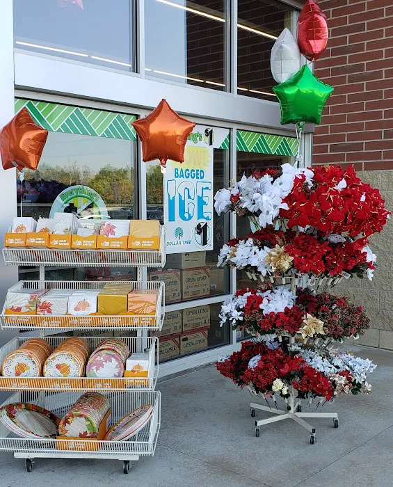Dollar Tree 6