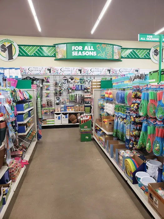 Dollar Tree 8
