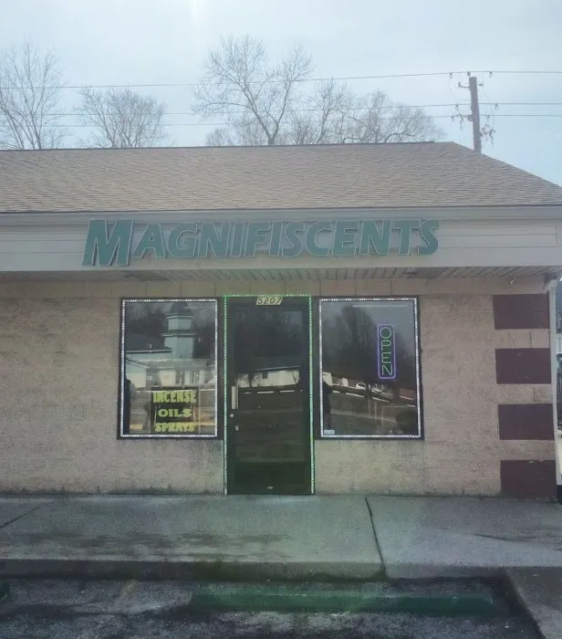 Magnifiscents 0