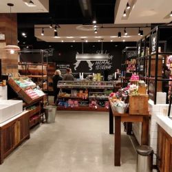 Lush Cosmetics Oakbrook Center ico
