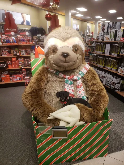 Kohl's 6