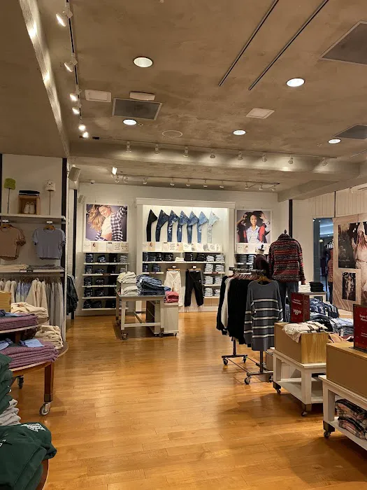 American Eagle & Aerie 2