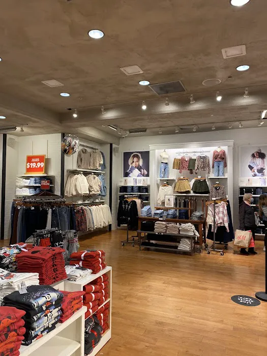 American Eagle & Aerie 4