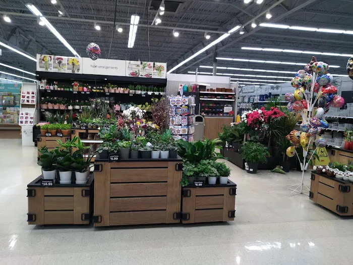 Meijer 8