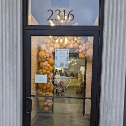 shoppe smitten ico