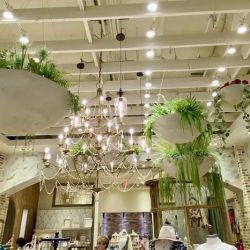 Altar'd State The Greene Town Center ico