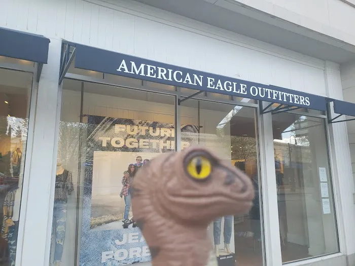 American Eagle 0