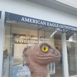 American Eagle ico