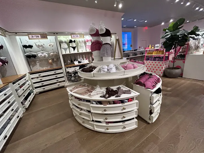 Victoria's Secret & PINK by Victoria's Secret 5