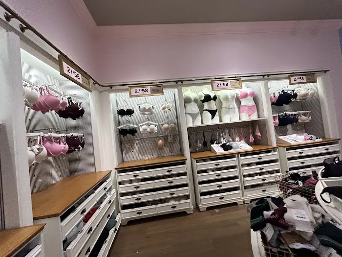 Victoria's Secret & PINK by Victoria's Secret 7