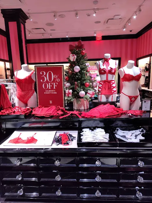 Victoria's Secret & PINK by Victoria's Secret 7