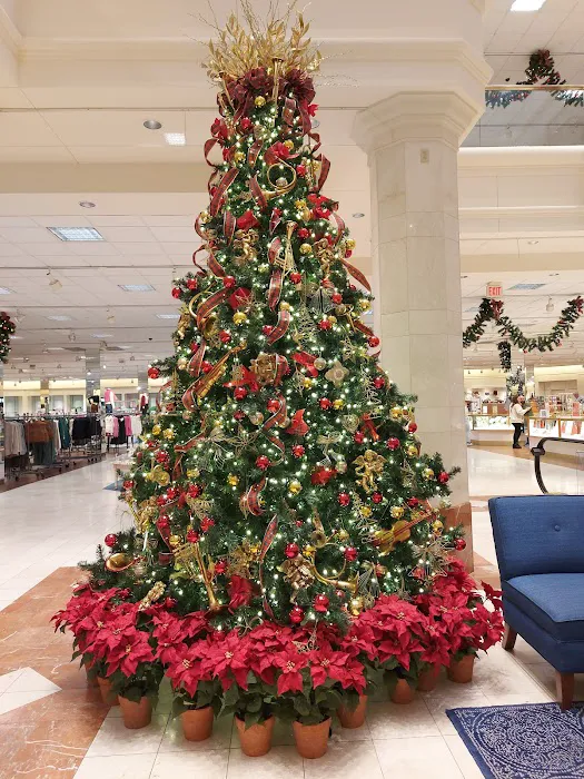 Von Maur 4