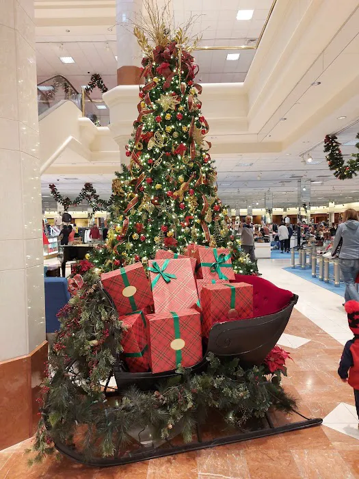 Von Maur 6