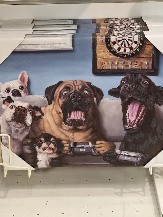 Kohl's 8